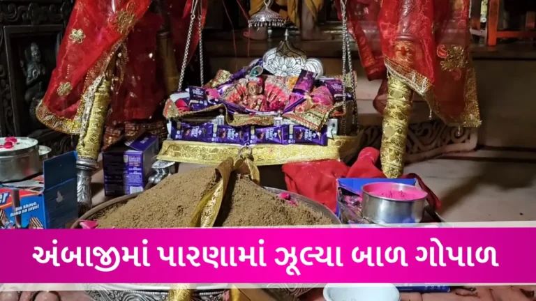 નંદ ઘેર આનંદ ભયો, જય કનૈયા લાલ કી: અંબાજીમાં કૃષ્ણ જન્મોત્સવની ઉજવણી, મેઘરાજાએ કર્યા અમી છાંટણા gujarattak