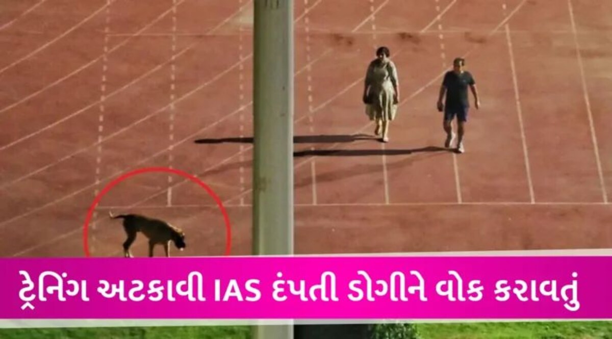 સ્ટેડિયમમાં ટ્રેક પર કૂતરું ફેરવનાર IAS દંપતિ ફરી ચર્ચામાં, સરકારે ફરજિયાત નિવૃત્તિ આપી દીધી gujarattak