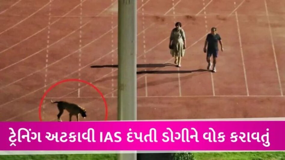 સ્ટેડિયમમાં ટ્રેક પર કૂતરું ફેરવનાર IAS દંપતિ ફરી ચર્ચામાં, સરકારે ફરજિયાત નિવૃત્તિ આપી દીધી gujarattak