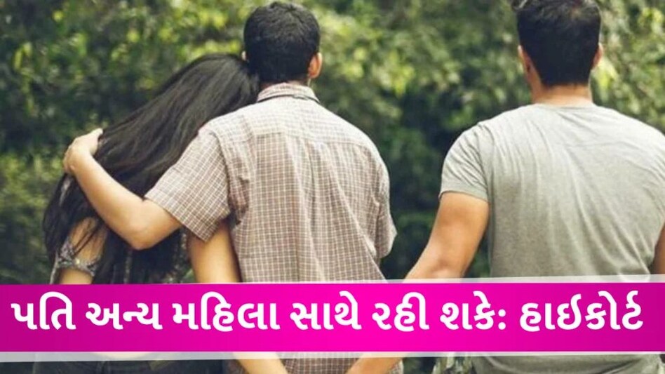 પતિનું બીજી મહિલા સાથે રહેવું ખોટું નથી, દિલ્હી હાઇકોર્ટે ખુબ જ મહત્વની ટિપ્પણી કરી Delhi High court about extra marrital affair