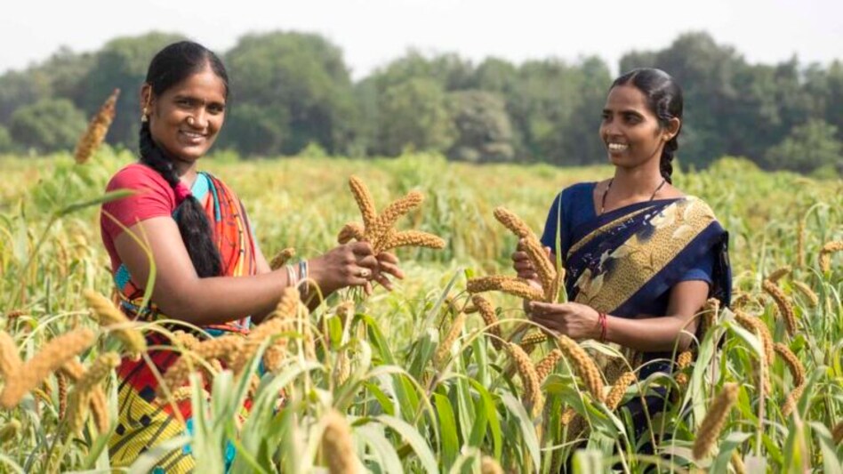 INDIA@100: ખાદ્ય ક્ષેત્રમાં આત્મનિર્ભરતા, પોતાનું પેટ પોતે જ ભરવાની તૈયારી India@100 in Farm sector