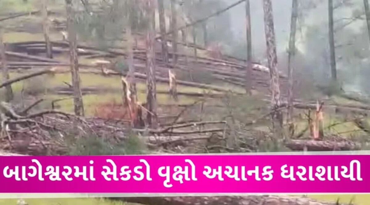 બાગેશ્વરમાં આવ્યું વિચિત્ર પરંતુ ભયાનક તોફાન, હજારો વૃક્ષો તુટી પડ્યા gujarattak