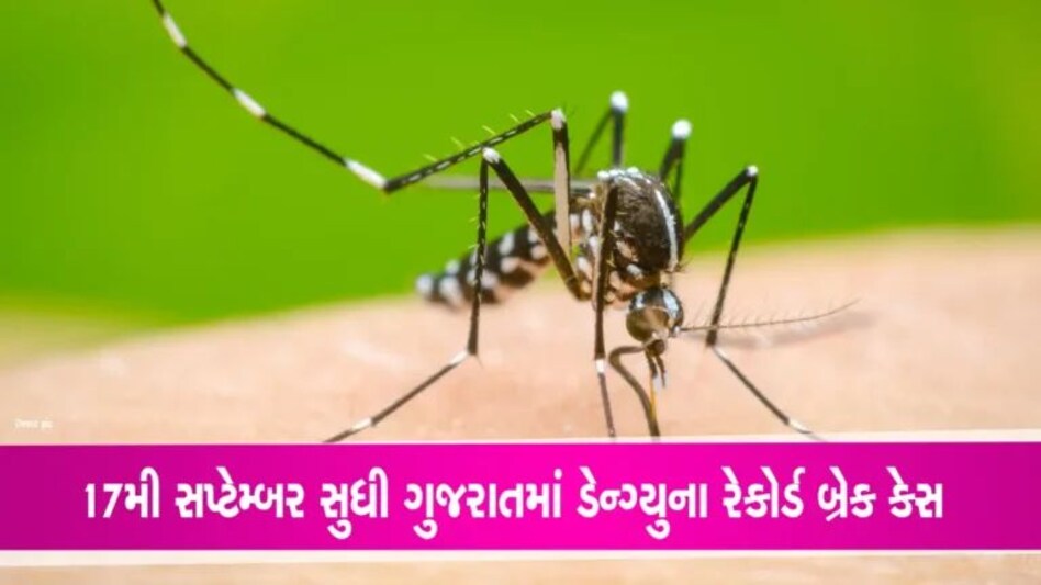 Gujarati News: ચોમાસાની વિદાય સાથે જ ગુજરાતમાં વધતો રોગચાળો gujarattak