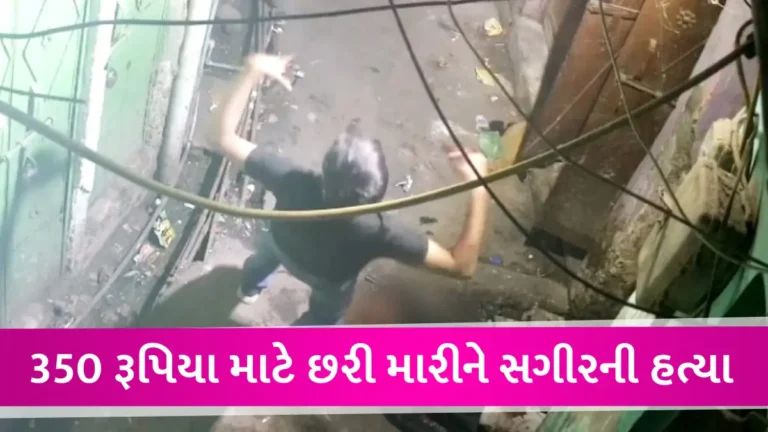 વિકૃતતાની હદ પાર! 16 વર્ષના સગીરની હત્યા 60 વખત ચાકુ મારીને, 17 વર્ષના યુવકે હત્યા કરીને ડાંસ કર્યો gujarattak