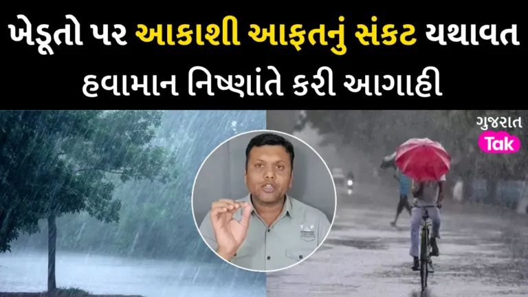 ફરી પડશે કમોસમી વરસાદ! 1 ડિસેમ્બરથી ગુજરાતના આ વિસ્તારોમાં માવઠાની આગાહી, ખેડૂતો ચિંતાતુર gujarattak