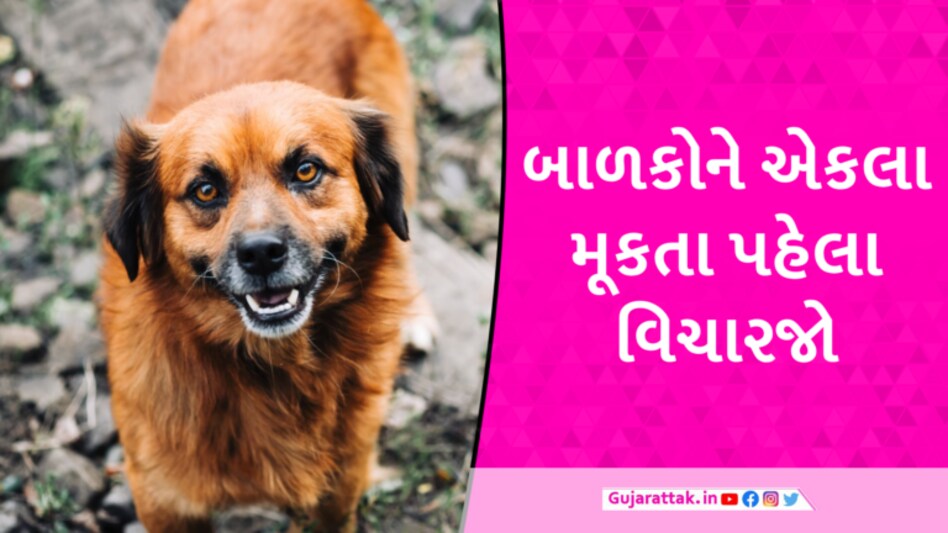 સુરતમાં રખડતા શ્વાનનો આતંકઃ 1 વર્ષની બાળકી પર કર્યો હુમલો, આંખનું કરવું પડ્યું ઓપરેશન gujarattak