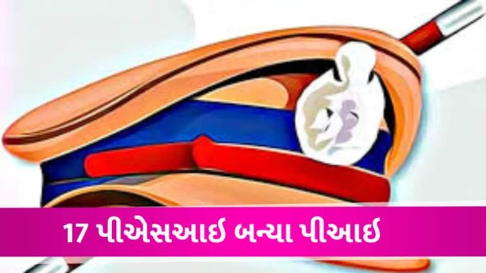 Gujarat ના 17 PSI ને પોલીસ ઇન્સપેક્ટર તરીકે પ્રમોશન આપવામાં આવ્યું gujarattak