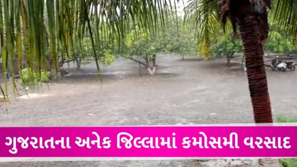 Gujarat ના અનેક જિલ્લાઓમાં કમોસમી વરસાદ, ખેડૂતોના ઉભા પાક પર પાણી ફરી વળ્યું Unseosnal rain in Gujarat