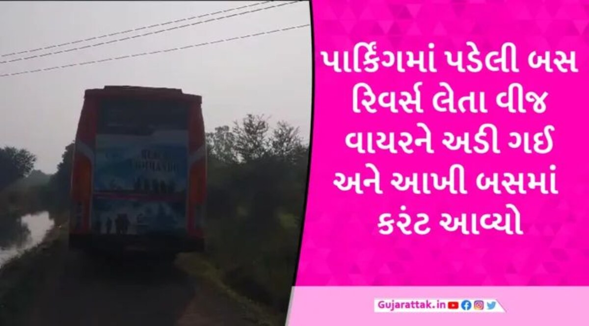 કચ્છથી દક્ષિણ ભારત જતા યાત્રાળુઓ સાથે દુર્ઘટના, ડાકોરમાં બસ વીજ વાયર અડી જતા મહિલાનું મોત, 2 લોકો ગંભીર gujarattak