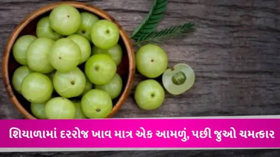 Health Tips: શિયાળામાં સ્વાસ્થ્ય માટે રામબાણ છે આમળા, દરરોજ ખાવાથી થશે શરીરને ઘણા ફાયદા gujarattak