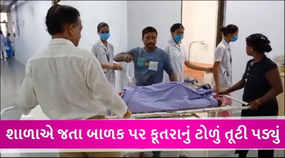 સુરતમાં કૂતરાઓનો આતંક, 8 વર્ષના બાળકને 15થી 20 કૂતરાના ટોળાએ બચકા ભરી લોહીલુહાણ કર્યો gujarattak