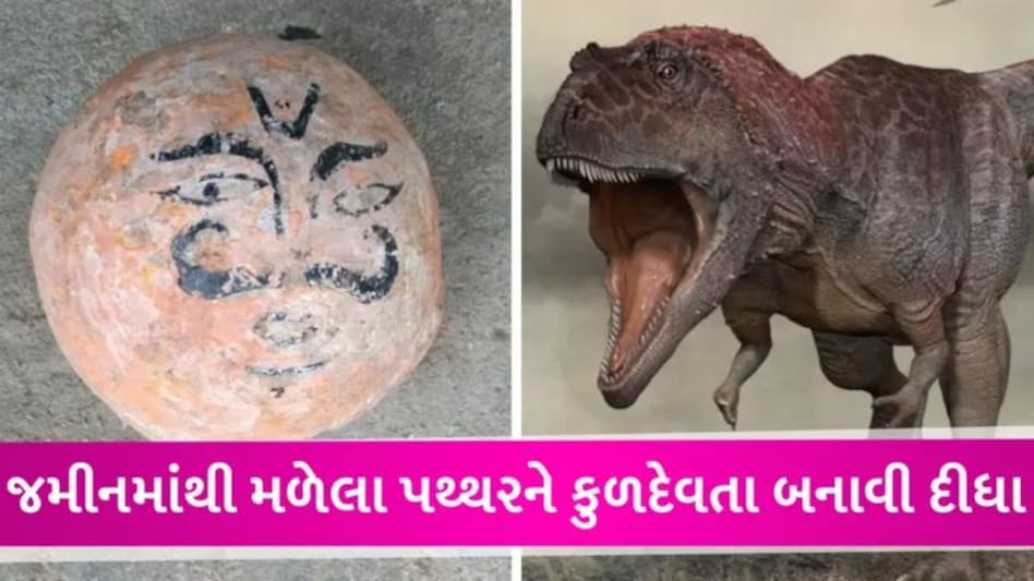 મધ્ય પ્રદેશમાં લોકો વર્ષો સુધી જેને કુળદેવતા માનીને પૂજતા હતા તે ડાયનાસોરનું ઈંડું નીકળ્યું, કેવી રીતે સામે આવ્યું સત્ય? gujarattak