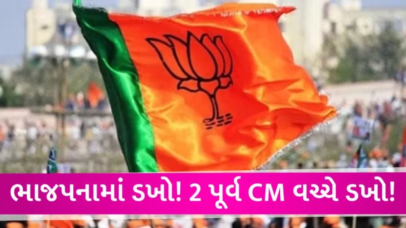 ભાજપના દિગ્ગજોમાં જ ડખો! બે પૂર્વ મુખ્યમંત્રીઓ વચ્ચે તકરાર, નેતાઓ અસહજ બન્યા Karnataka CM