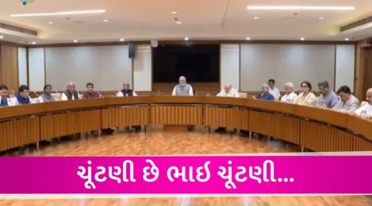 Modi સરકારનો મહત્વનો નિર્ણય, હવે નાળીયેર પણ ટેકાના ભાવે ખરીદવામાં આવશે Modi Government Cabinet Meet