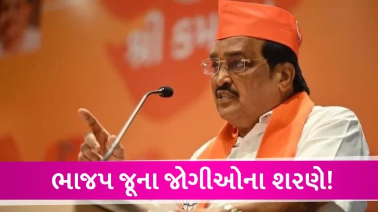 ગુજરાત ભાજપનો માસ્ટરપ્લાન તૈયાર, 26 લોકસભા બેઠક માટે નક્કી કરાયા જવાબદારી gujarattak