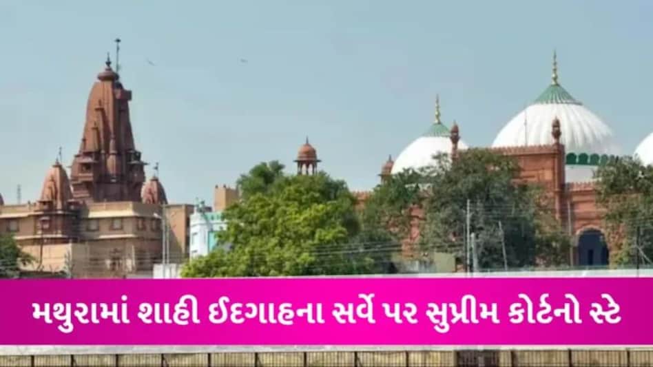 Krishna Janmabhoomi Case: મથુરા શાહી ઈદગાહનો નહીં થાય સર્વે, SCએ હાઈકોર્ટના આદેશ પર લગાવ્યો સ્ટે gujarattak
