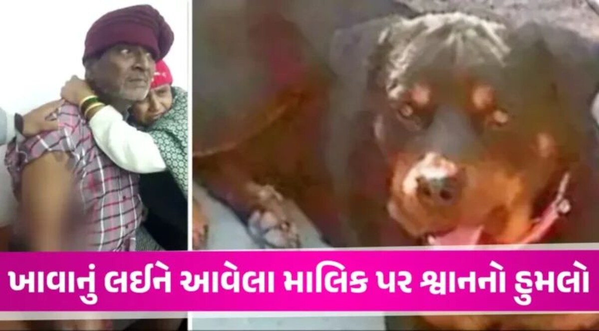 Dog Attack: ખાવાનું આપવાનું ભૂલી જતા પાળતુ શ્વાનનો માલિક પર હિંસક હુમલો, હાથ-પગમાં ફાડી ખાધા dog attack on owner