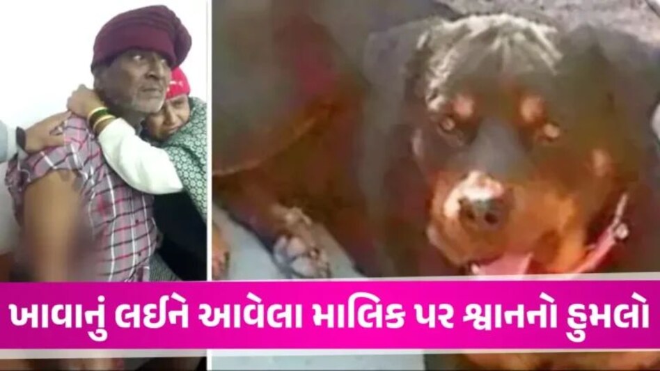 Dog Attack: ખાવાનું આપવાનું ભૂલી જતા પાળતુ શ્વાનનો માલિક પર હિંસક હુમલો, હાથ-પગમાં ફાડી ખાધા dog attack on owner