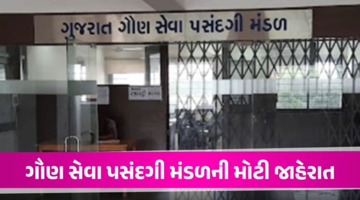 Breaking News: સરકારી નોકરીની તૈયારી કરતાં યુવાનો માટે ખુશખબર, GSSSB એ આ ભરતીમાં કર્યો બમ્પર વધારો GSSSB RECRUITMENT