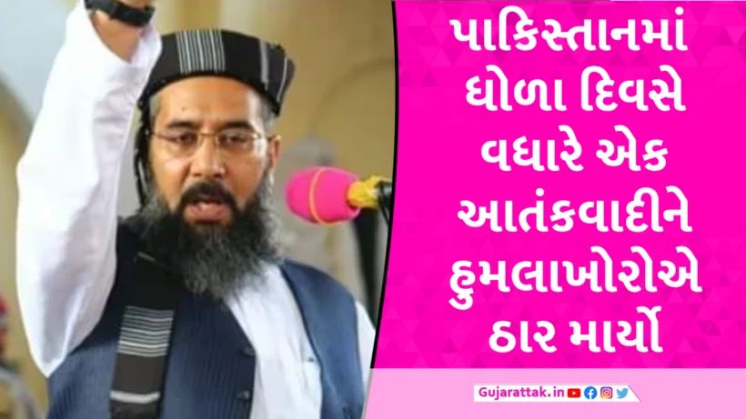 પાકિસ્તાનના વધારે એક કુખ્યાત આતંકવાદીની હત્યા, ભારત વિરોધી ઝેર ઓકતો રહેતો હતો Maulana Masood Usmani killed by unidentified assailants