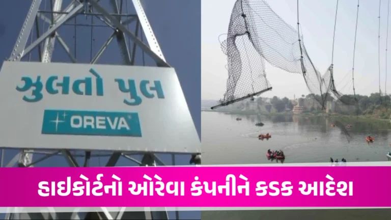 ‘મોરબી દુર્ઘટનાના અસરગ્રસ્તો, અનાથોને છેલ્લા શ્વાસ સુધી સાચવવાની જવાબદારી તમારી’, HCની ઓરેવા કંપનીને ટકોર Morbi bridge collapse