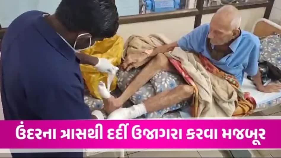 Anand News: આણંદની જનરલ હોસ્પિટલમાં ઉંદરોનો તરખાટ, રાત્રે સૂતેલા દર્દીનો પગ કોતરી ખાધો Anand Hospital News