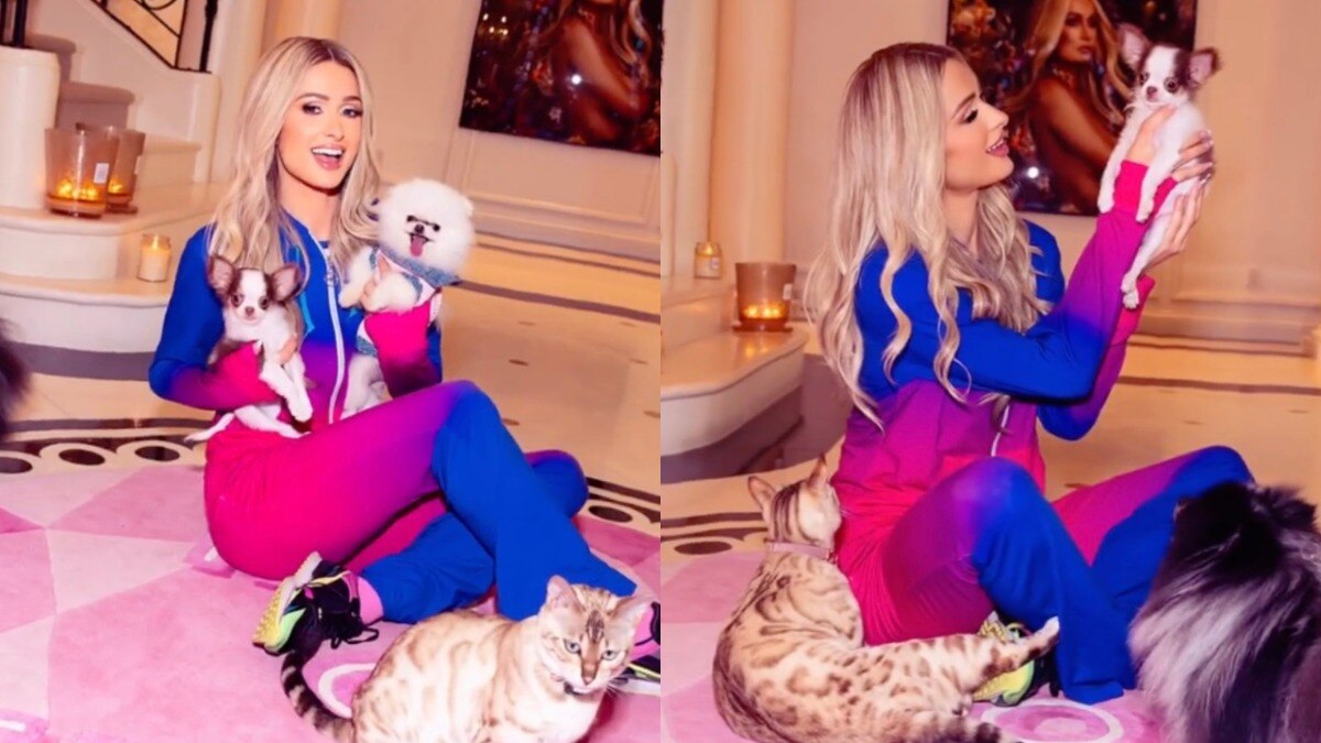 From Paris Hilton to Mariah Carey, Hollywood celebrities and their extravagant pet homes