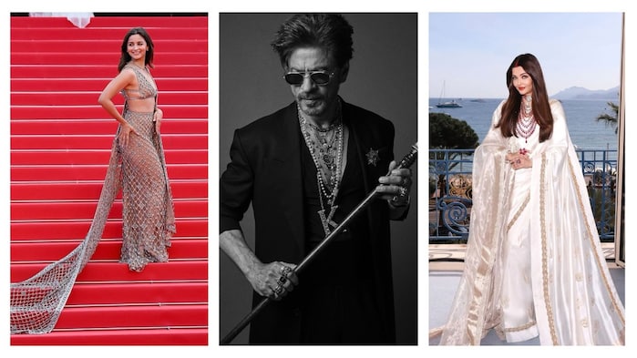From Diljit Dosanjh to Shah Rukh Khan, 2025's most memorable red carpet moments