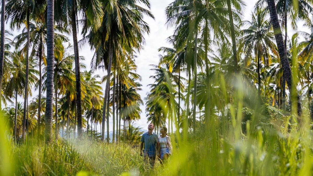 The journey of sustainable travel from a buzzword to a movement 