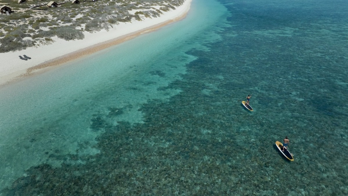 The next chapter of luxury travel begins in the wild