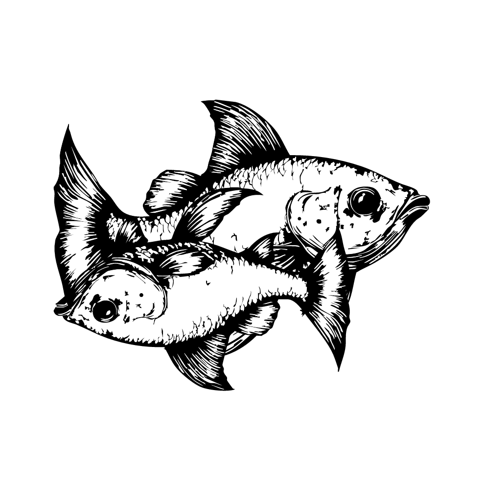 Hello Magazine India