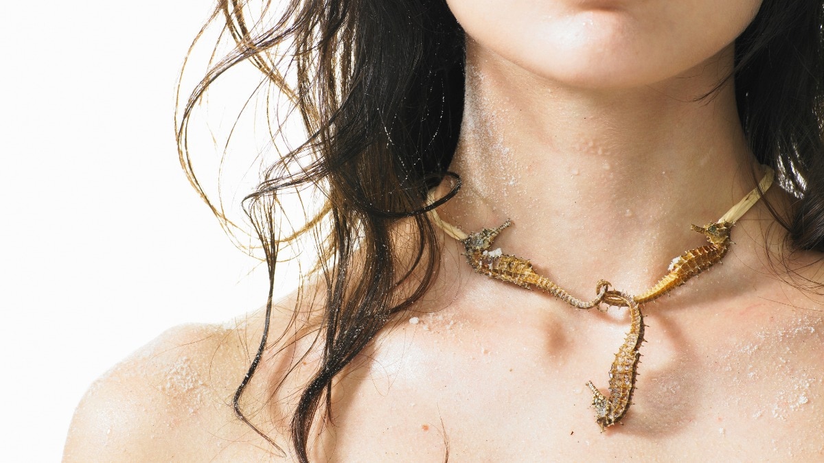 Harper's Bazaar India