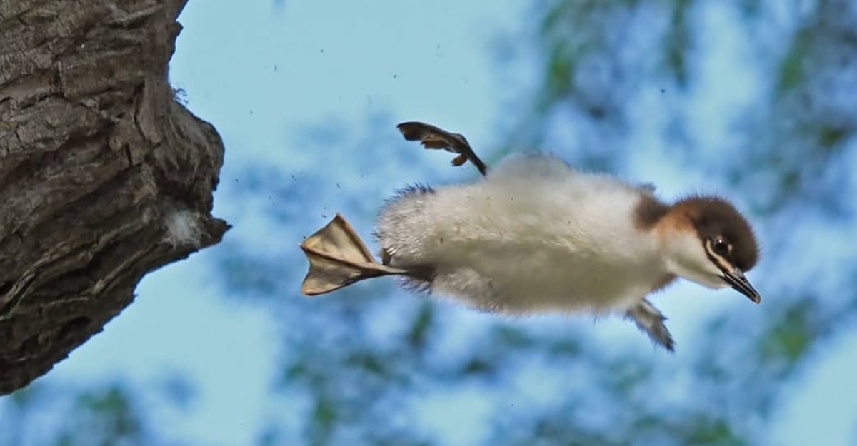 feature-text-image070922015915