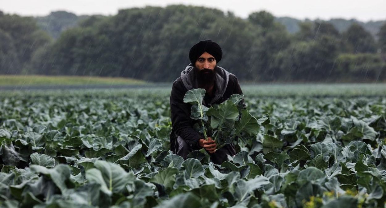 untitled-design-2022-11-14t161104197141122041107