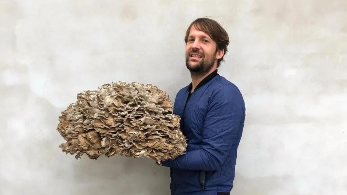 Harper's Bazaar India