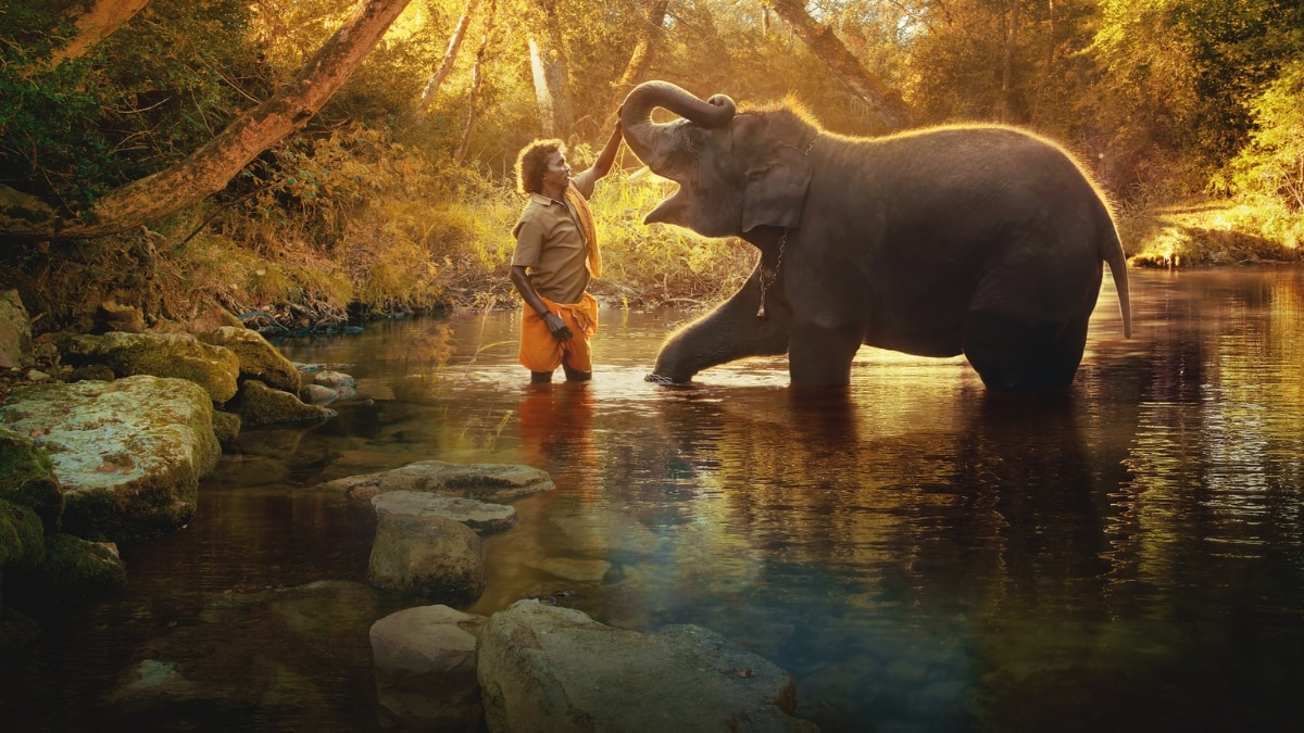 Harper's Bazaar India