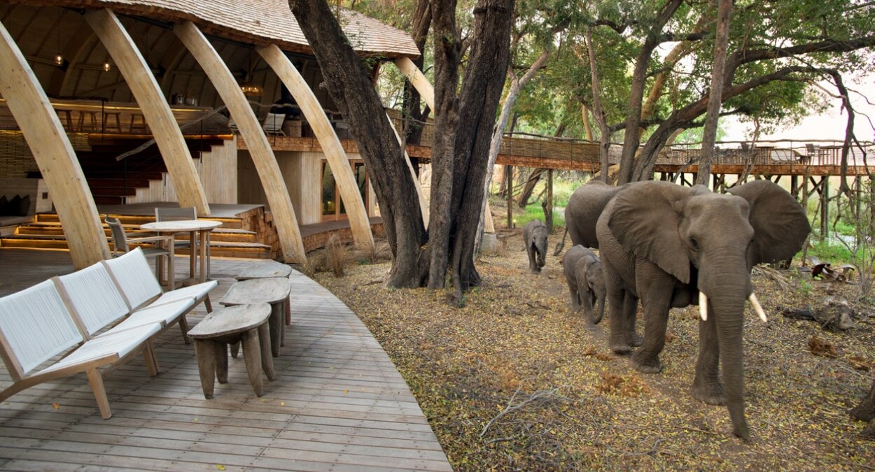 Harper's Bazaar India