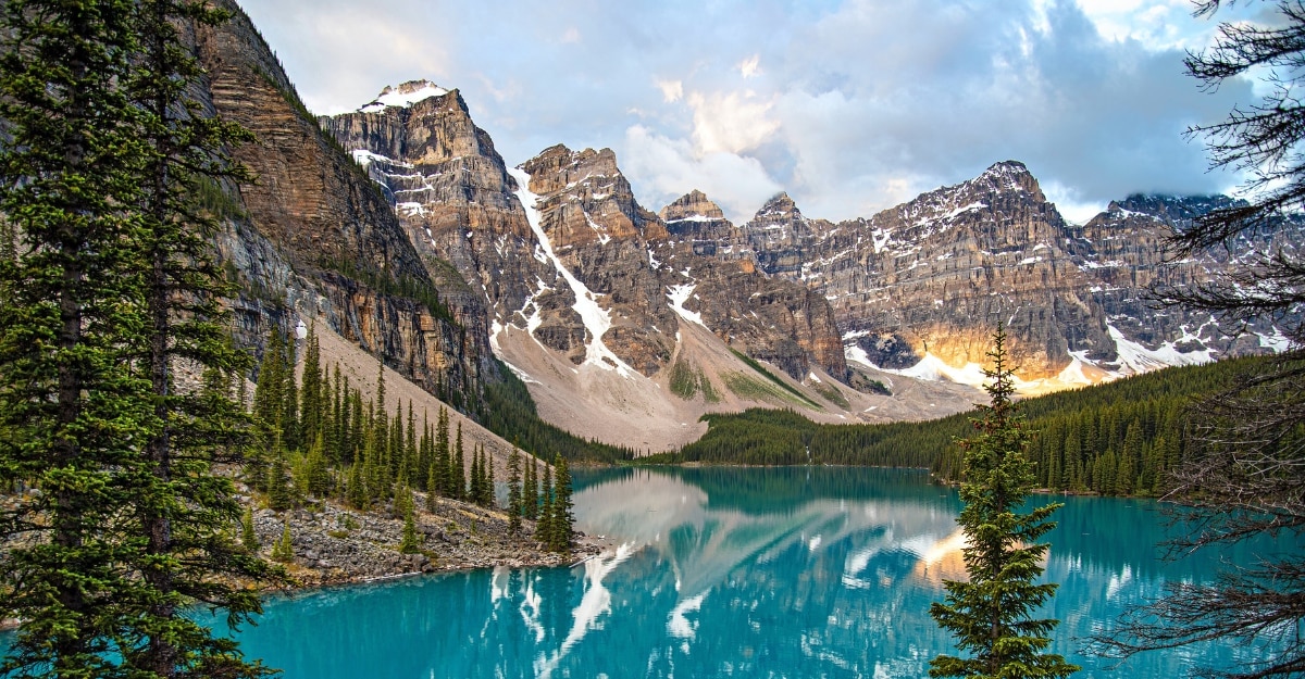 Harper's Bazaar India