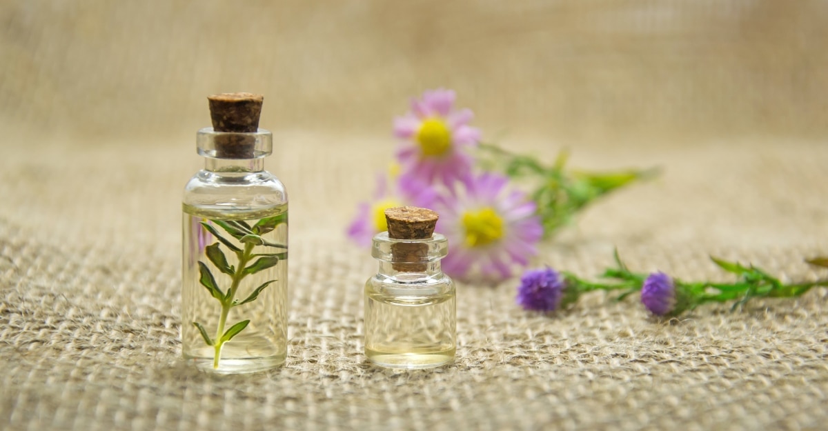 harpers-feature-pic-9120523015650