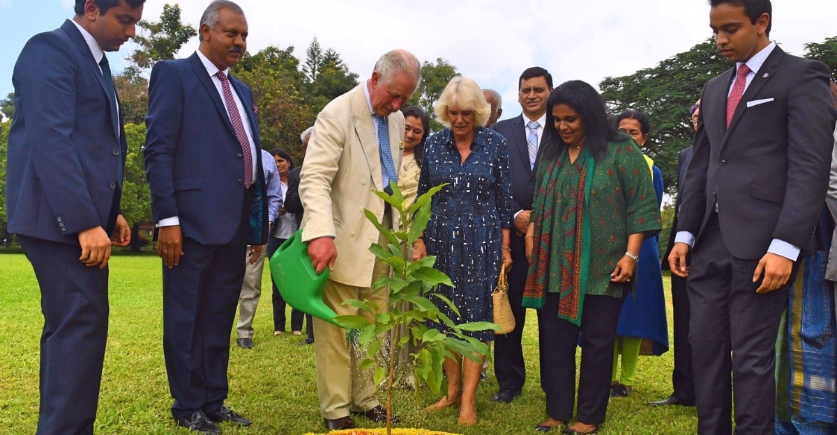 Harper's Bazaar India