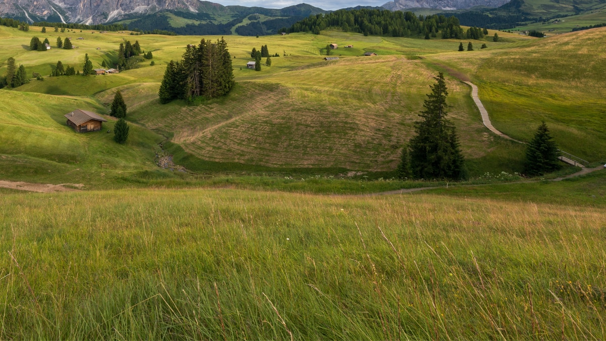 Harper's Bazaar India