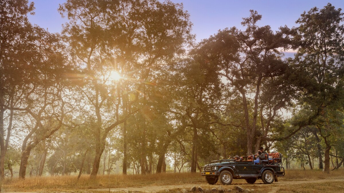 Harper's Bazaar India