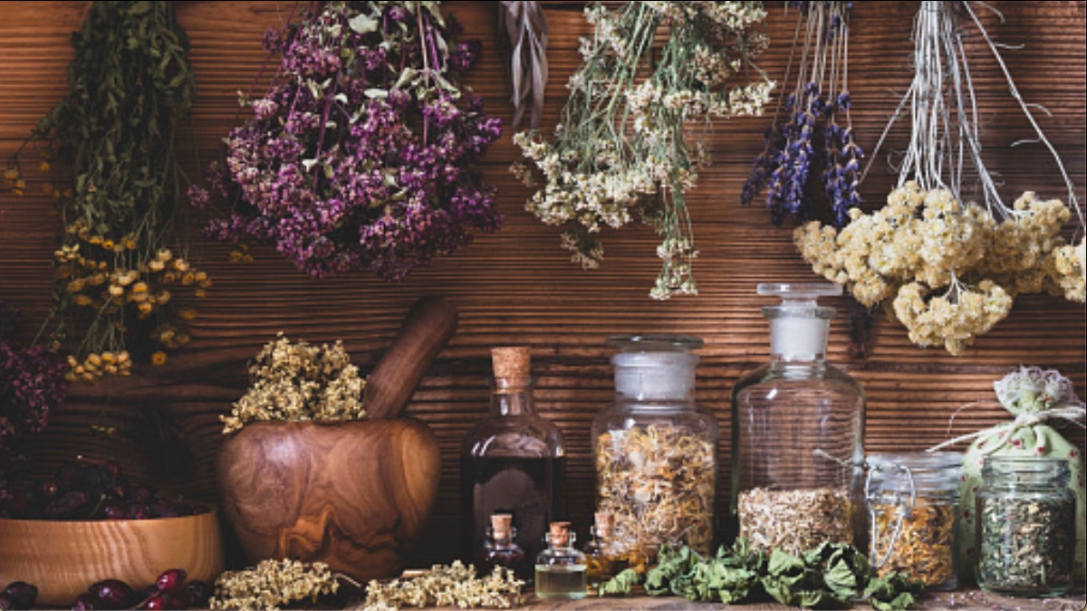 Harper's Bazaar India