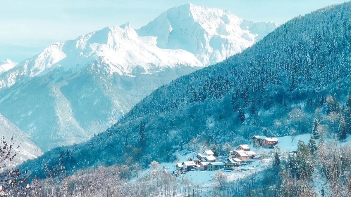 Harper's Bazaar India