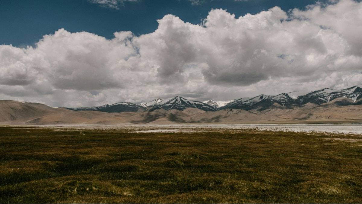 Harper's Bazaar India