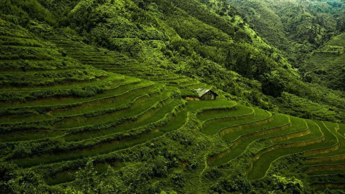 Harper's Bazaar India