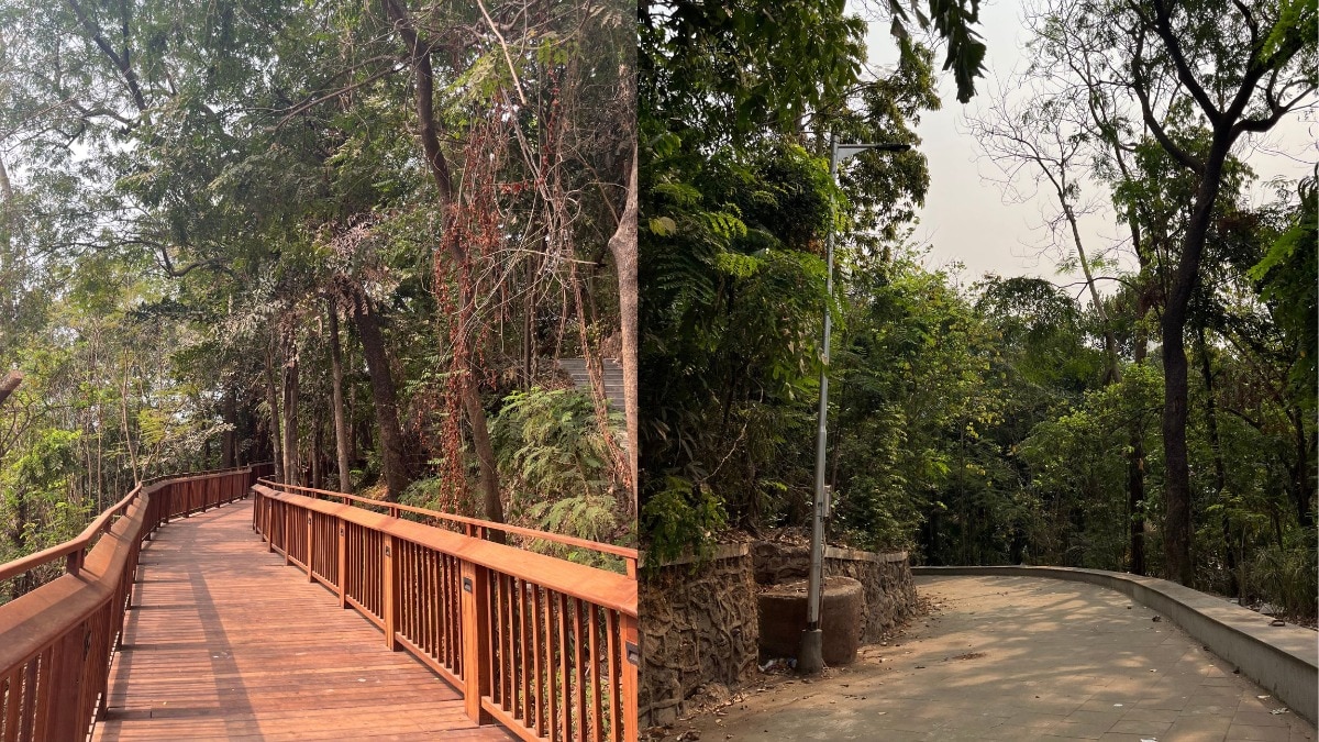 Harper's Bazaar India