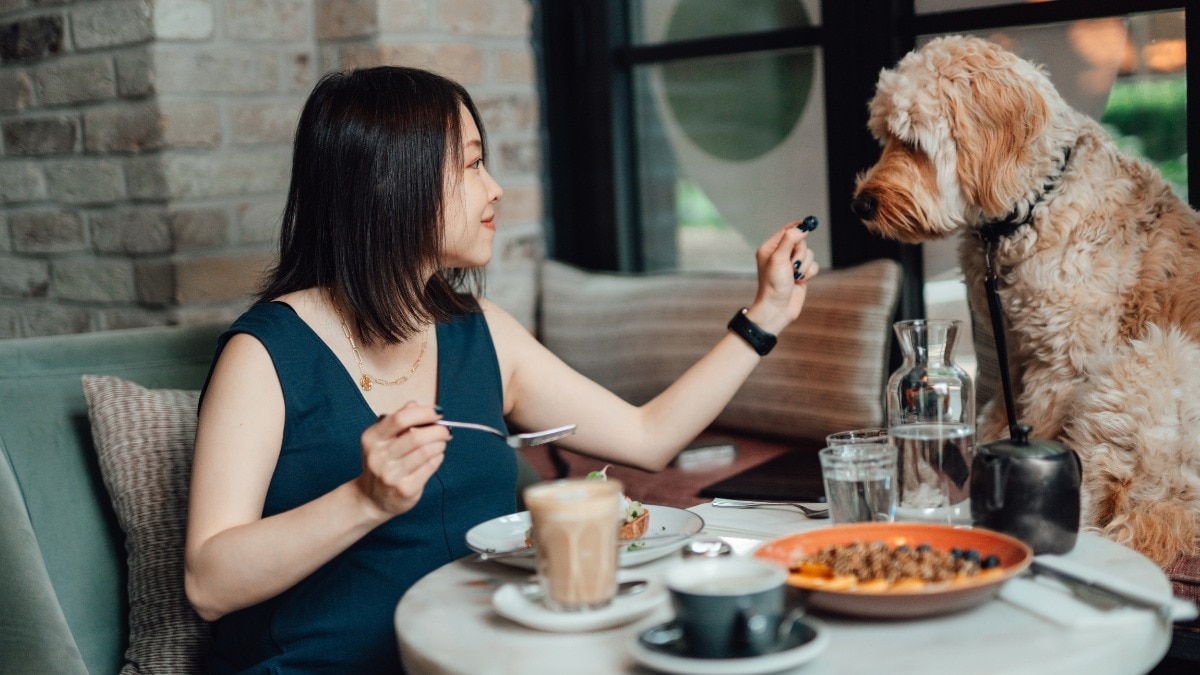 Harper's Bazaar India