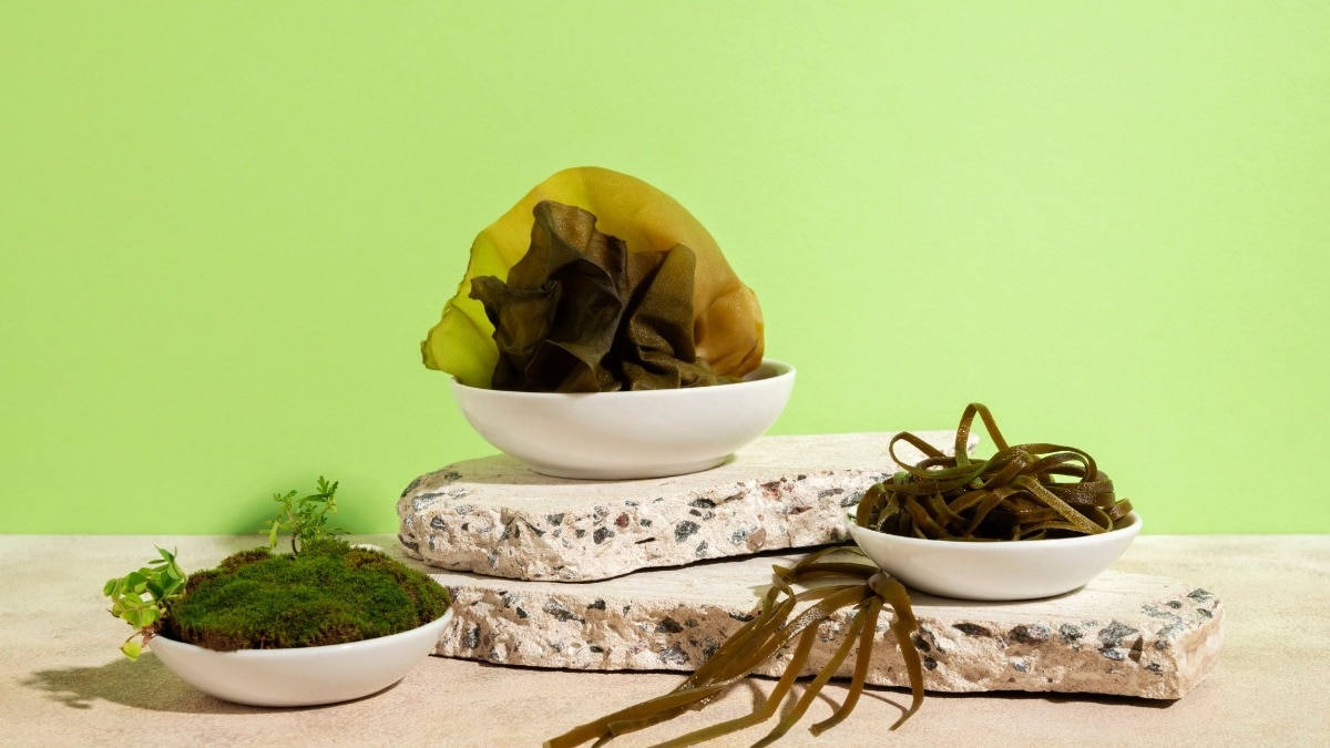 Harper's Bazaar India