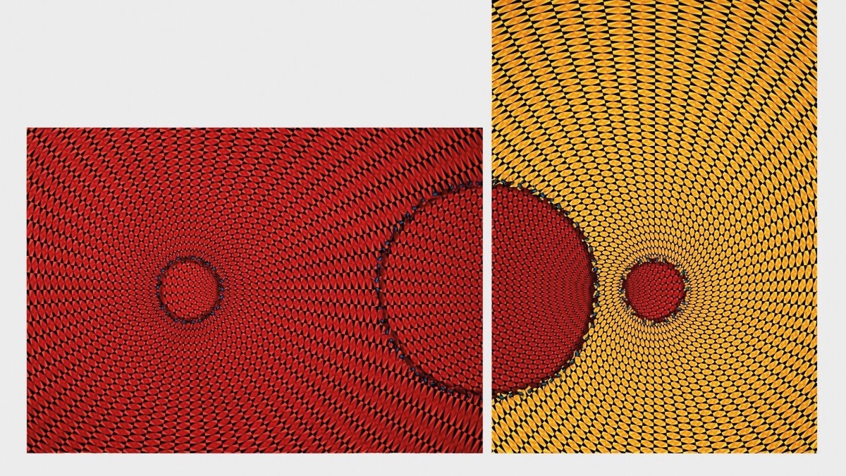 Harper's Bazaar India